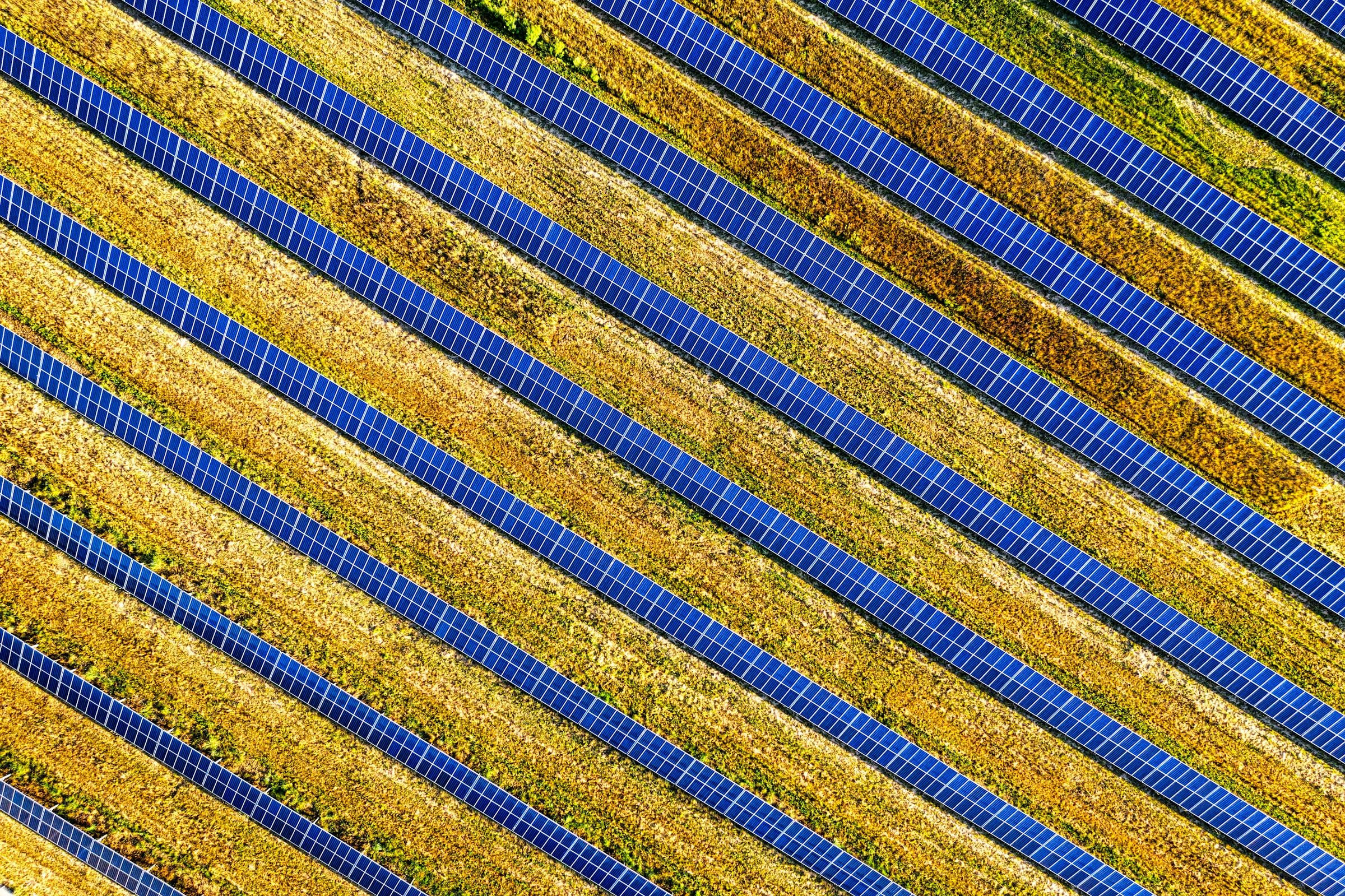 Aerial view of a large scale solar farm at golden hour